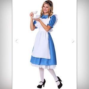 Alice in Wonderland Costume